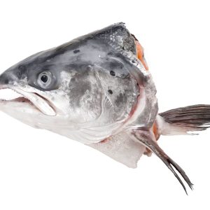 Frozen Salmon Heads