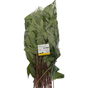 Fresh Red Jute Leaf 100g
