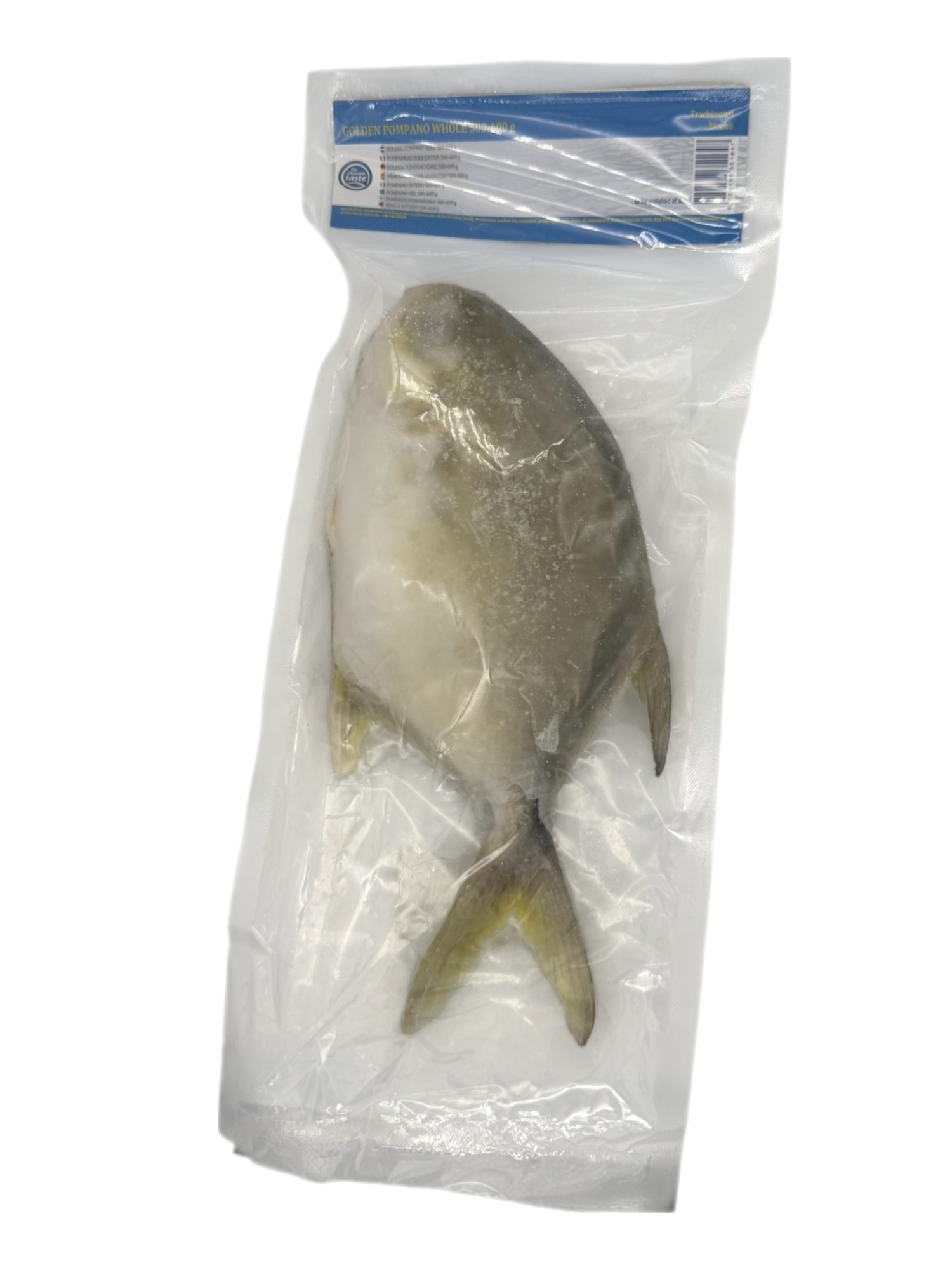 Ultimate Taste Whole Silver Pompano