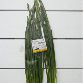 Fresh Chive Flower 100g