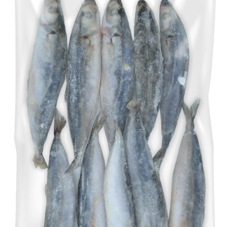 Planet Pride Shortfin Scad 1kg