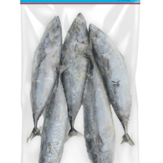 Bullet Tuna 1kg
